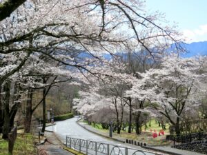 2021年3月29日