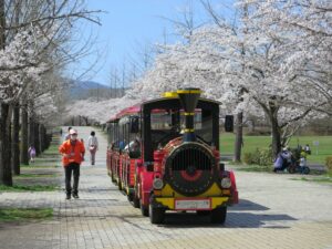 2021年3月29日