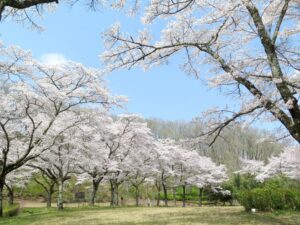 2021年4月1日