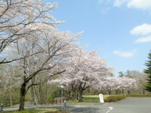 2021年4月1日