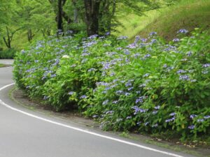 2021年6月20日