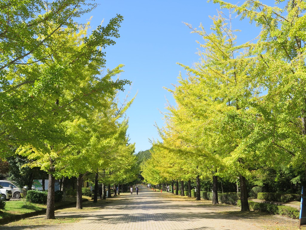 2021年10月11日