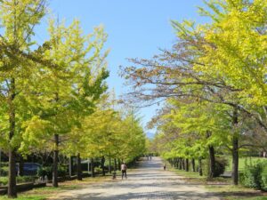 2021年10月11日