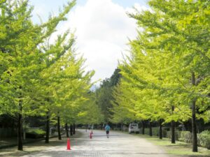 2021年10月14日