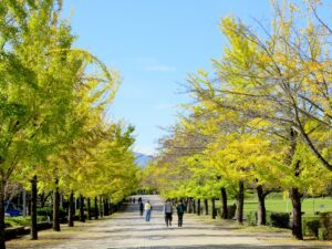 2021年10月21日