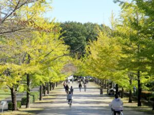 2021年10月24日