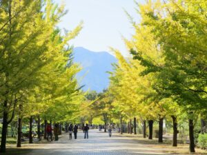 2021年10月24日