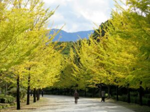 2021年10月26日