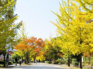 2021年10月28日