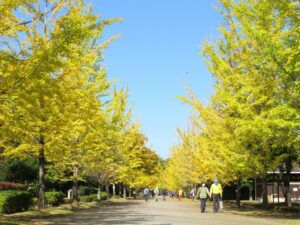 2021年10月28日