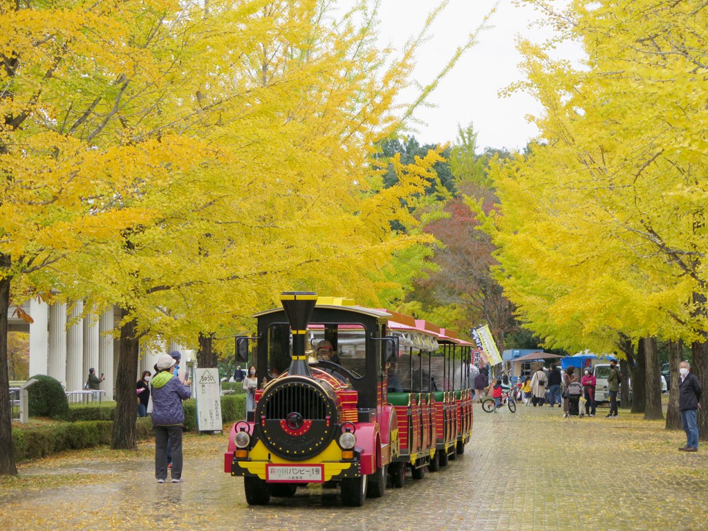 2021年10月31日