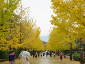 2021年10月31日