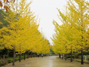 2021年10月31日