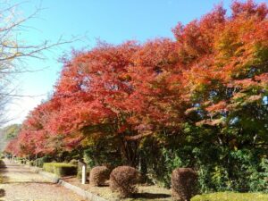 2021年11月10日