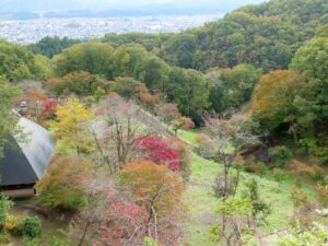 2021年11月1日