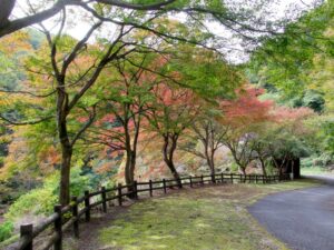 2021年11月1日