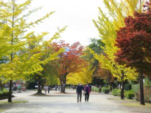 2021年11月1日