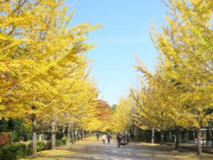 2021年11月3日