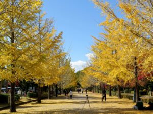 2021年11月5日