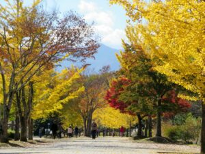 2021年11月5日