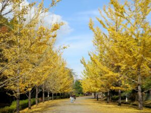 2021年11月8日