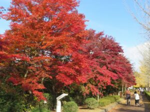 2021年11月8日