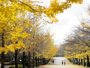 2021年11月8日