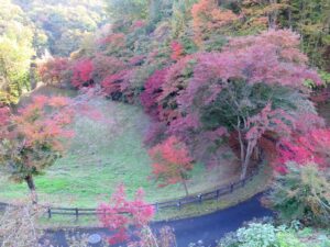 2021年11月8日