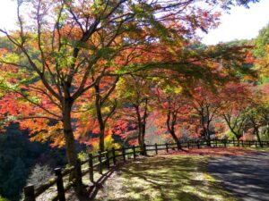 2021年11月10日