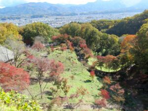 2021年11月10日