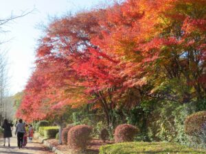 2021年11月14日