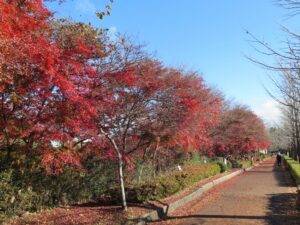 2021年11月23日