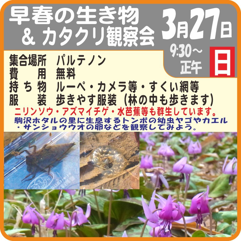 早春の生き物＆カタクリ観察会