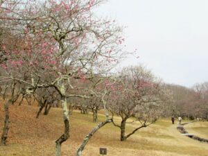 2022年3月8日