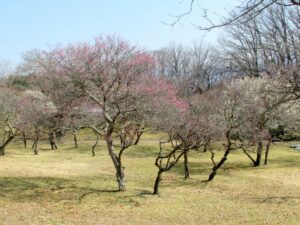 2022年3月11日