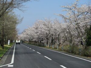 2022年4月6日