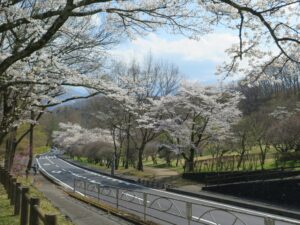 2022年4月6日