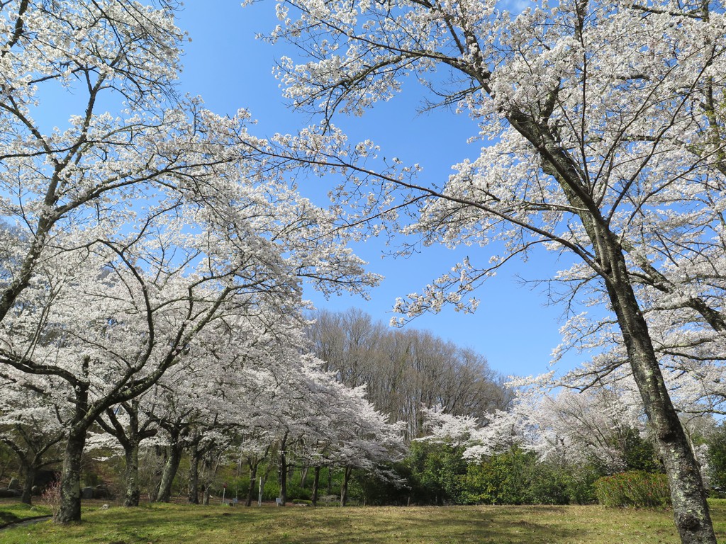 2022年4月6日