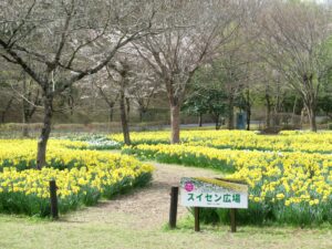 2022年4月11日