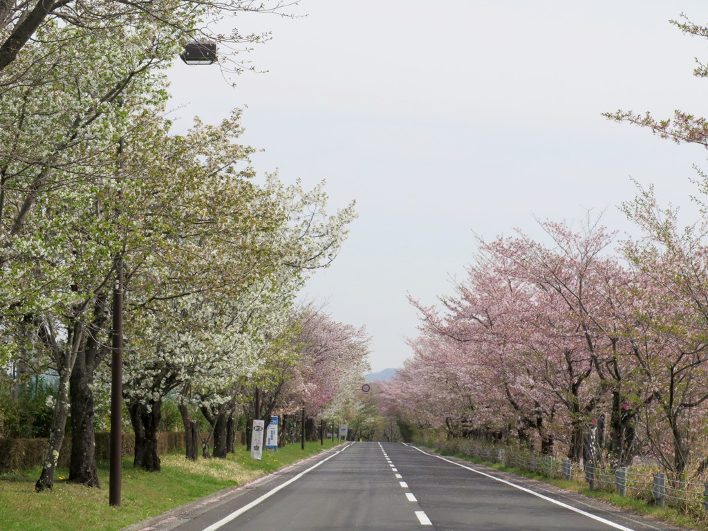 2022年4月11日