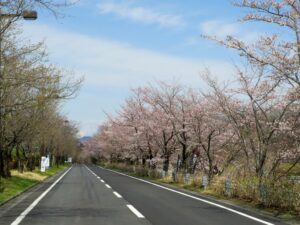 2022年4月1日