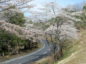 2022年4月1日