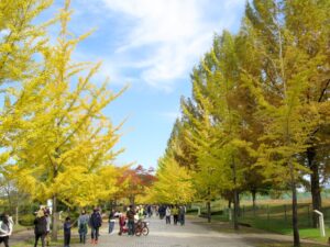 10月30日