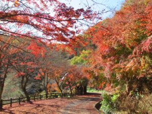 11月22日 せせらぎ広場