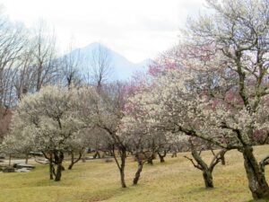 2023年3月2日