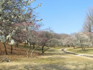 2023年3月5日