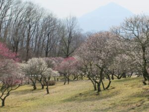 2023年3月9日