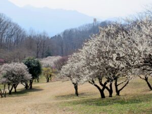 2023年3月9日