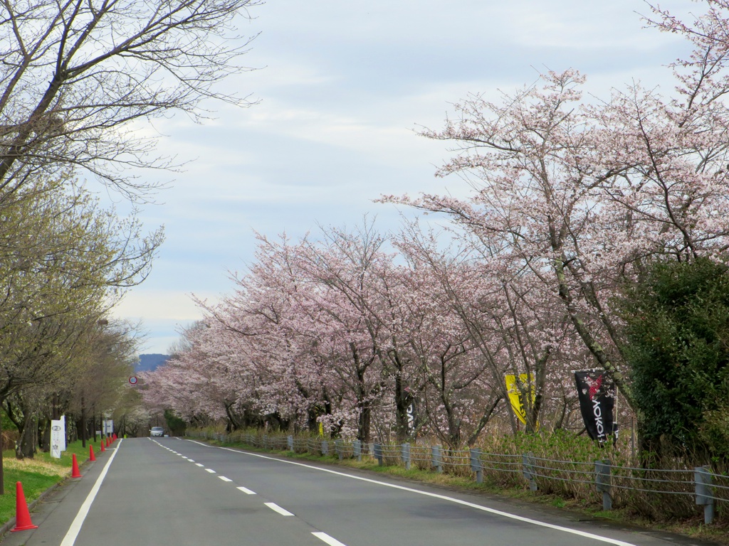 2023年3月24日