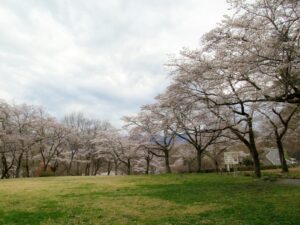 2023年3月24日